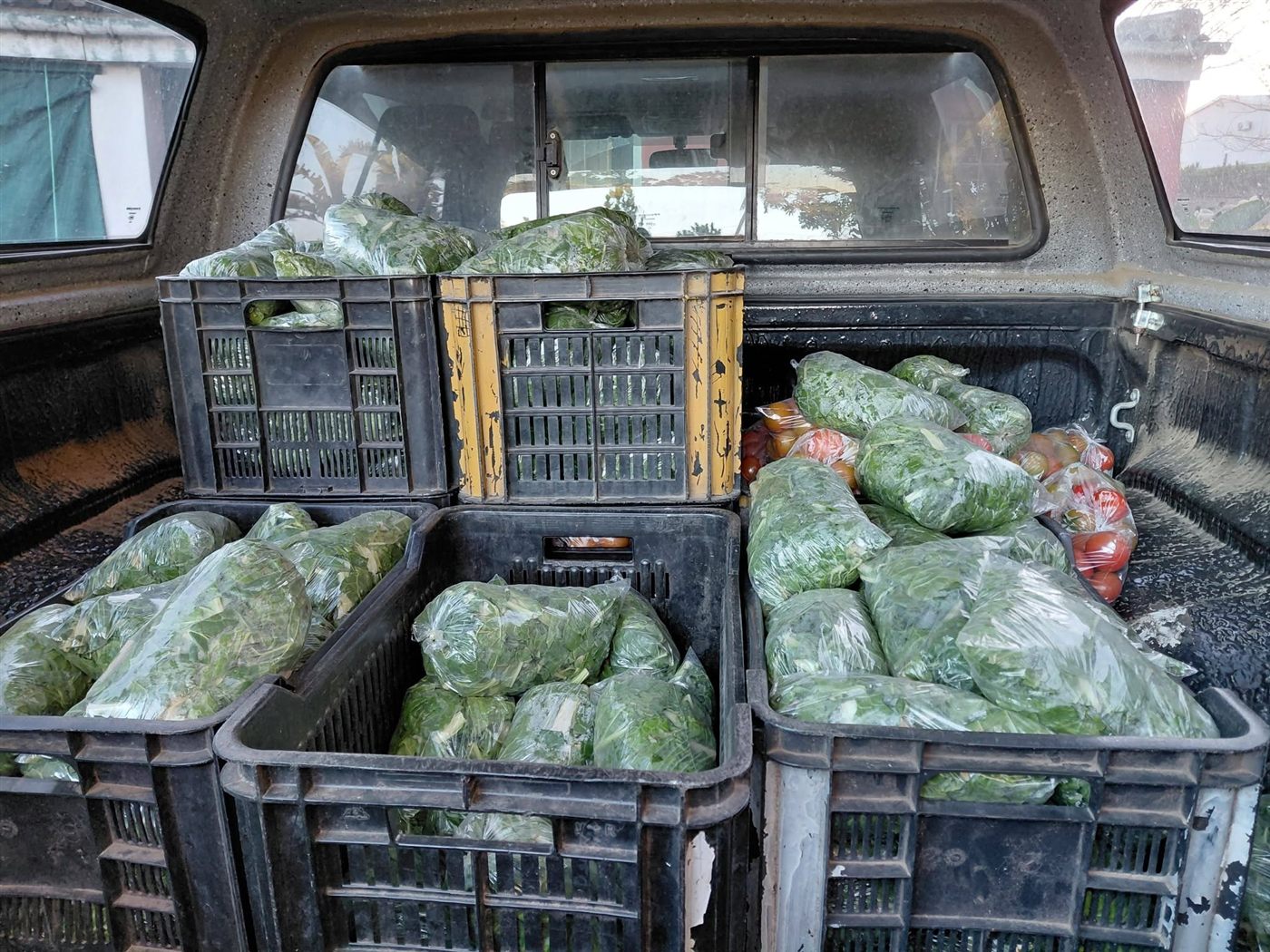Rescued fresh produce